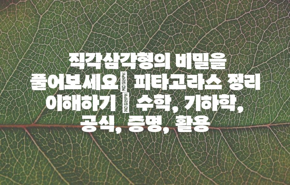 샘플 (43)