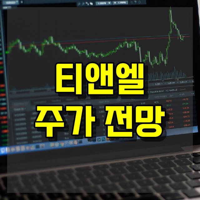 티앤엘 주가 전망