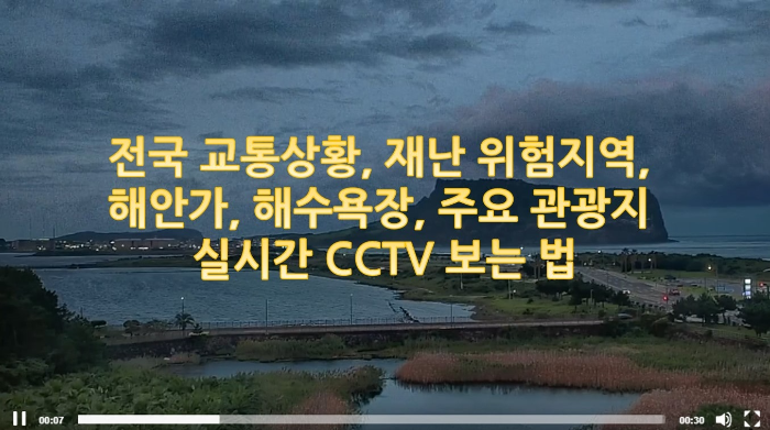  전국 교통상황, 재난 위험지역, 해안가, 해수욕장, 주요 관광지 실시간 CCTV 보는 법