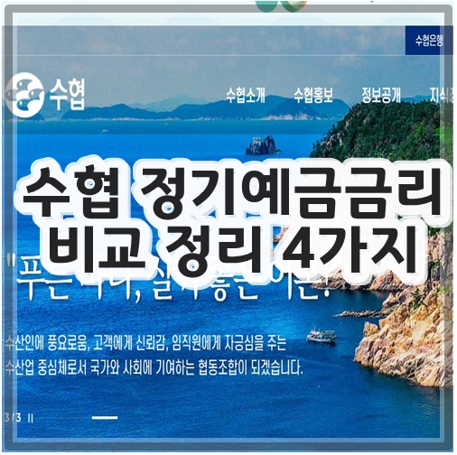 수협 정기예금금리 비교 정리 4가지