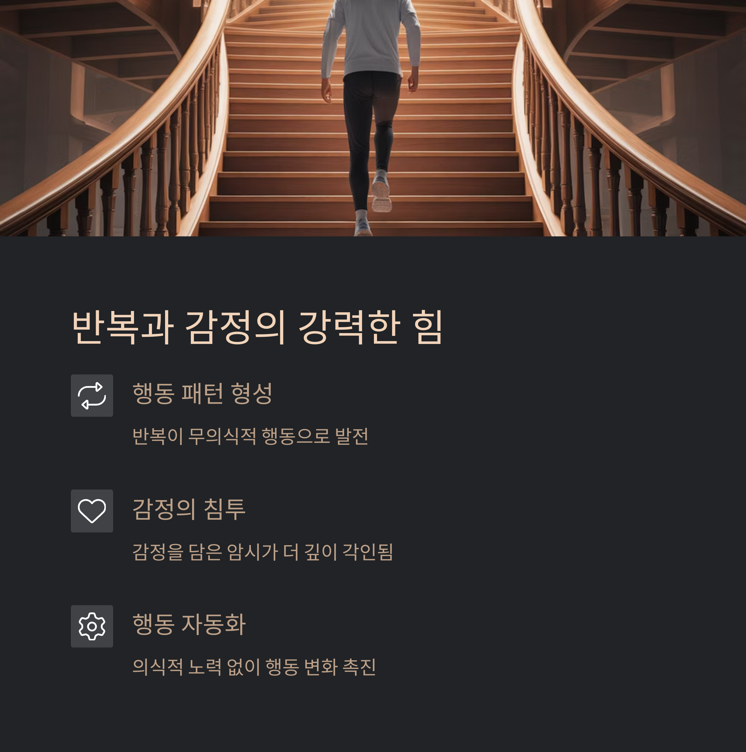 더마인드 이미지