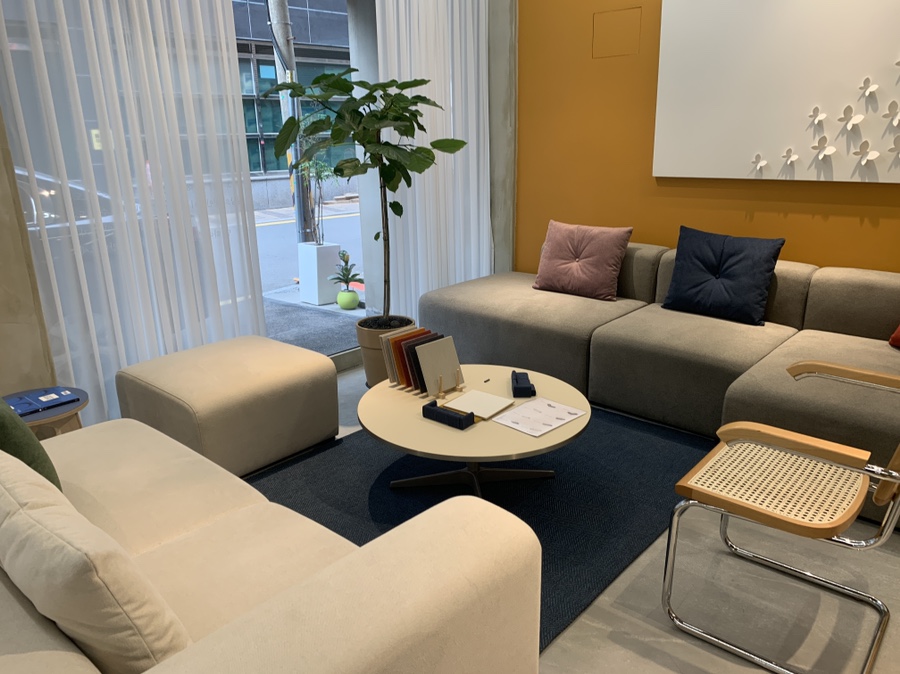 잭슨카멜레온, 플랜트란스 12