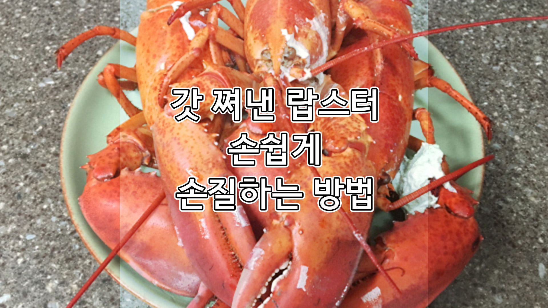 간단하게 집에서 쪄낸 랍스터 손질법 알아봐요 (feat. 랍스타 찌는법) 간단하게 집에서 쪄낸 랍스터 손질법 알아봐요 (Feat. 랍스타 찌는법)