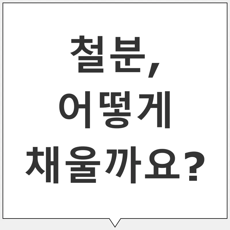 철분 섭취_2