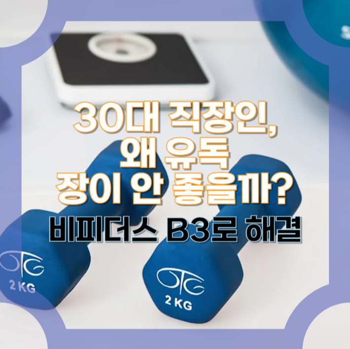 비피더스 B3-30대 직장인-40대 직장인-장 건강-유산균-프로바이오틱스-장 건강 관리-장 건강 개선-면역력 강화-비피더스 B3 복용법