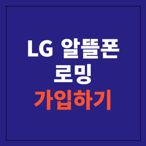 LG 알뜰폰 로밍 서비스 이용방법 및 요금제 요약
