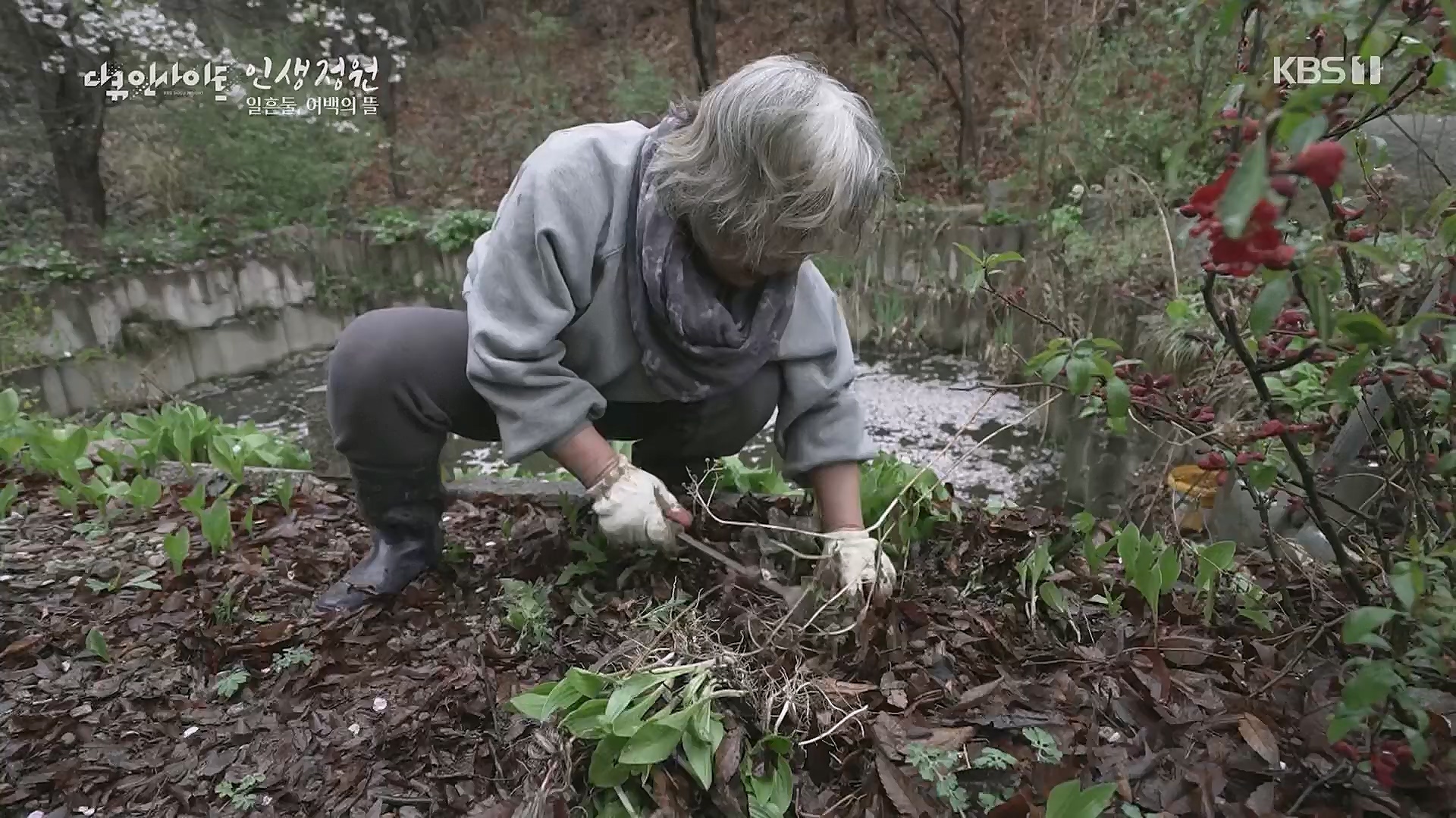 다큐 인사이트.E135.221229p.H264-F1RST.mp4_20230109_204209.404.jpg