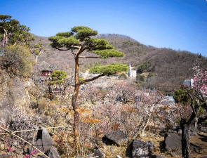 화담숲 예매·예약·주차 완벽 가이드