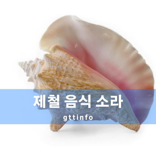 소라의 효능