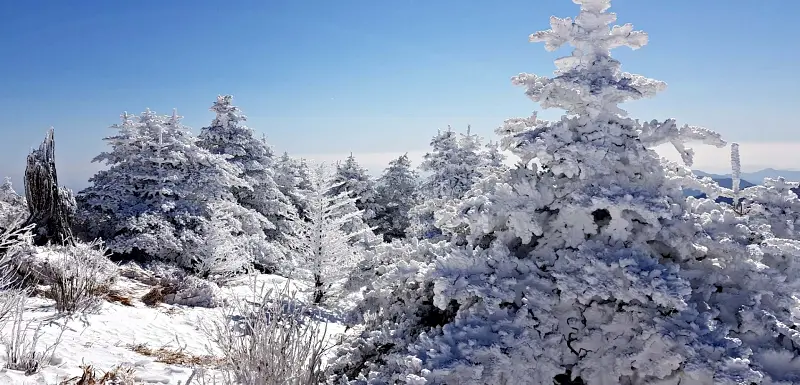 지리산 설경 상고대