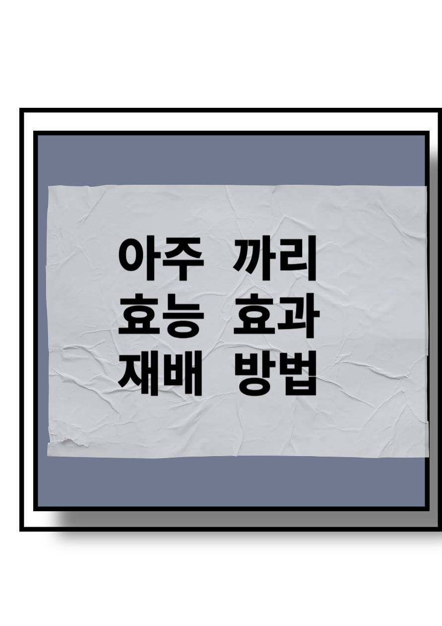 아주까리 효능효과 재배방법