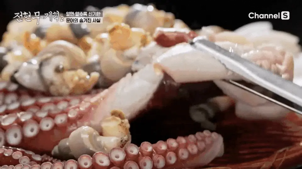 다리보다 압도적인 부드러움을 자랑하는 문어 몸통을 가위로 자르는 모습