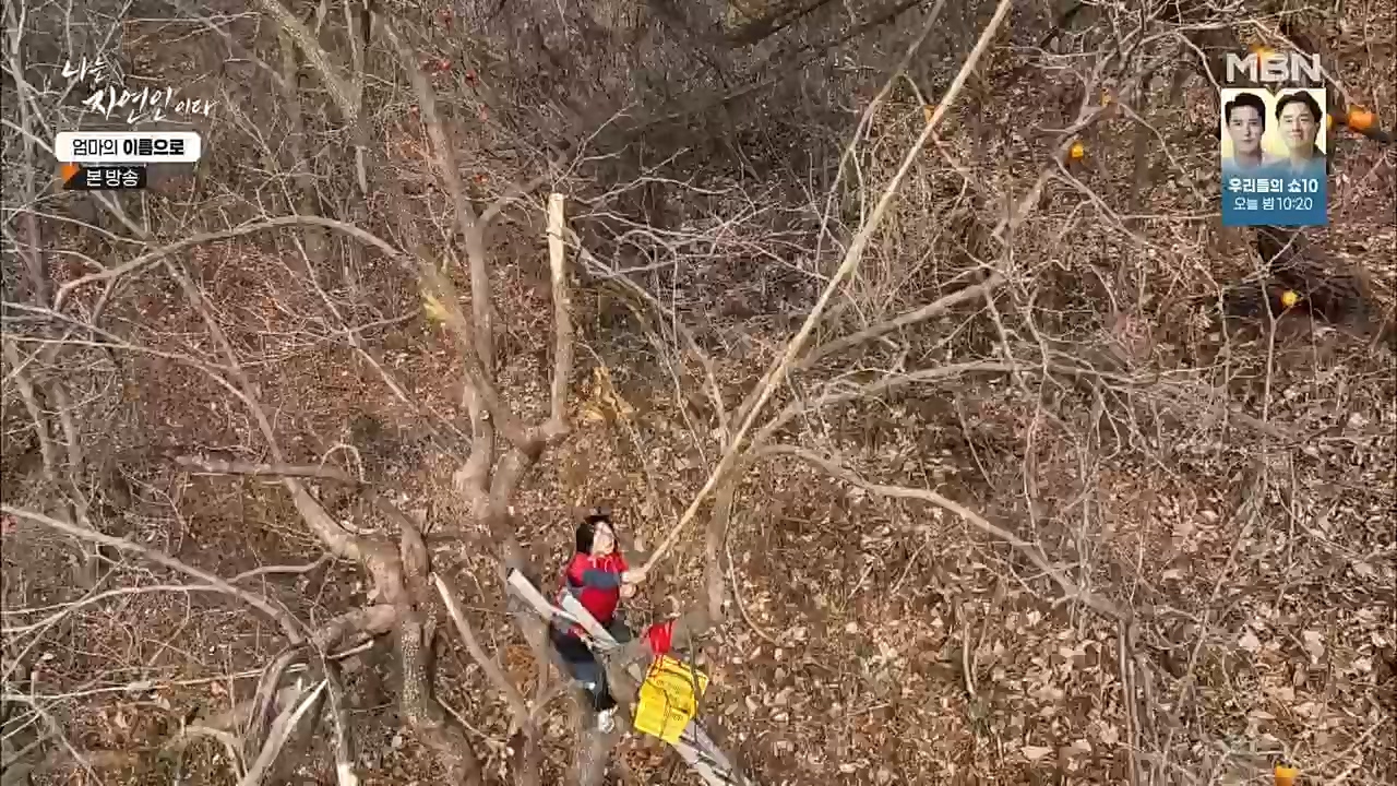 나는 자연인이다.E531.221208p.H264-F1RST.mp4_20221208_204227.872.jpg