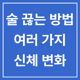  술 끊는 방법과 여러가지 신체 변화