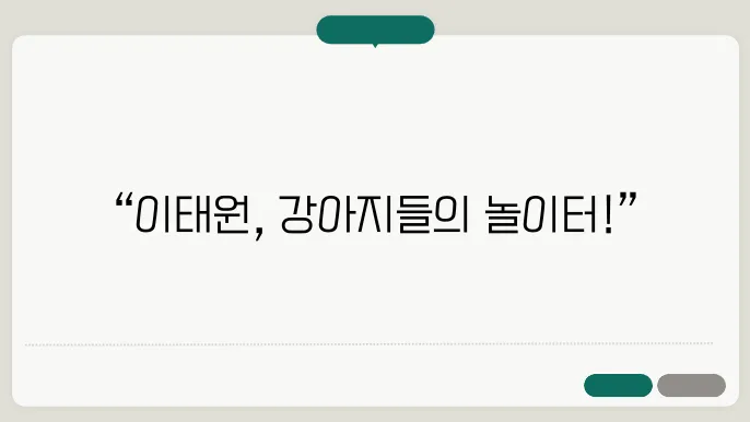 강아지보호소 활기차게 자라라 이태원강아지보호소