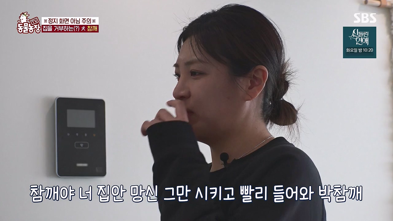 TV 동물농장.E1177.240624p-NEXT.mp4_20240623_163754.364.jpg