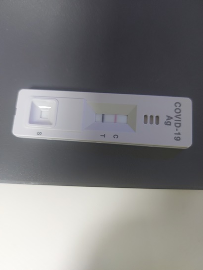 코로나 자가키트 양성 사진
