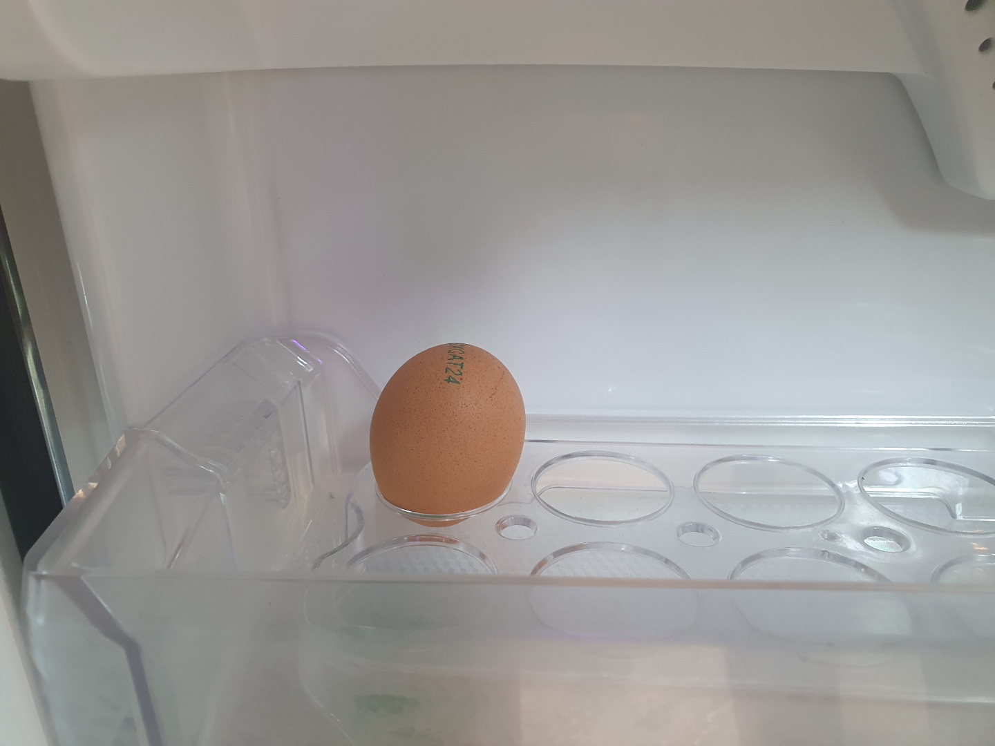 계란 냉장고 유통기한 지나면 버려야 하나요?