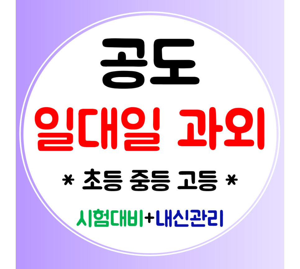  공도 중학생과외 수학 초등 고등과외 영어 일대일 맞춤으로