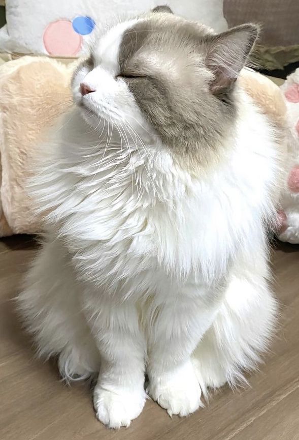 동반자 이미지