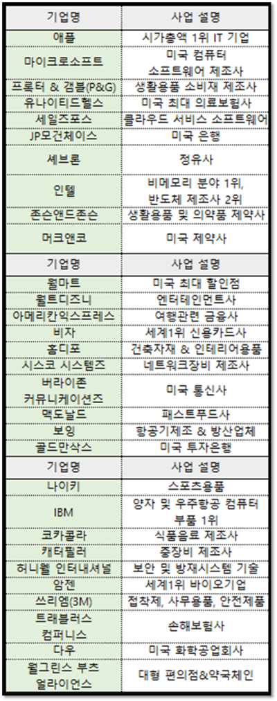 다우존스 구성 종목 30개 기업