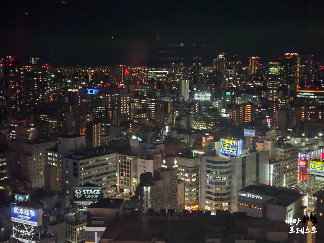 오사카 햅파이브 빨간 관람차 야경