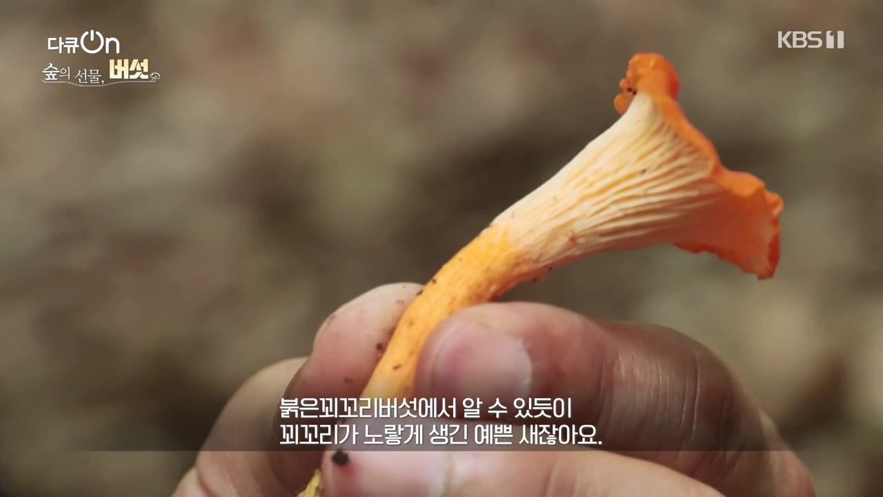 다큐 온.E227.231120p-NEXT.mp4_20231121_201913.230.jpg