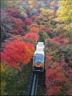 화담숲 주차 정보