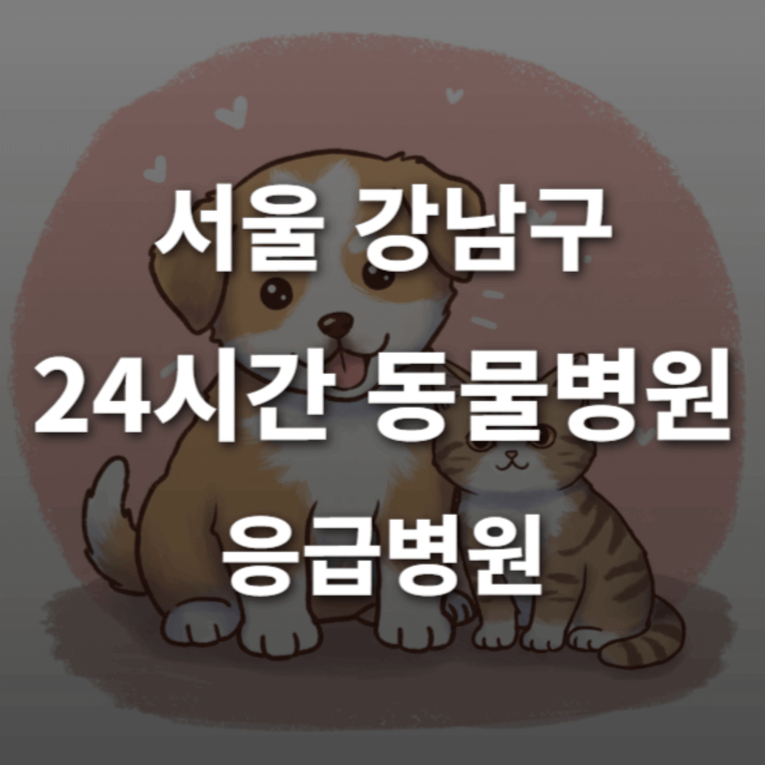 [서울 강남구 24시간 동물병원(신사동, 삼성동, 역삼동, 청담동)] 반려동물 응급상황 대처 가능한 진료소