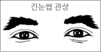 긴눈썹 관상