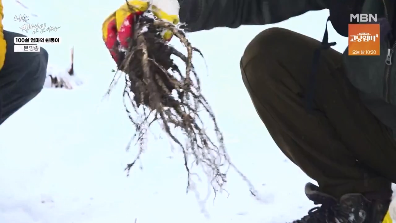 나는 자연인이다.E597.240314p-NEXT.mp4_20240314_195518.429.jpg