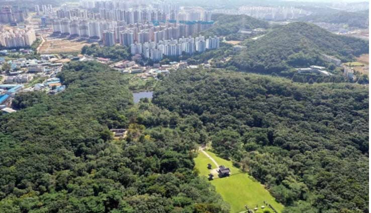  문화재청의 김포 장릉 아파트 19개 동 철거 요청..."결국 소송으로"