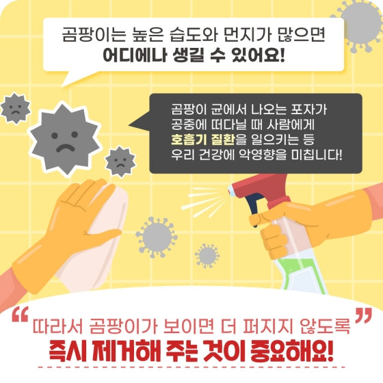 곰팡이청소방법추천4