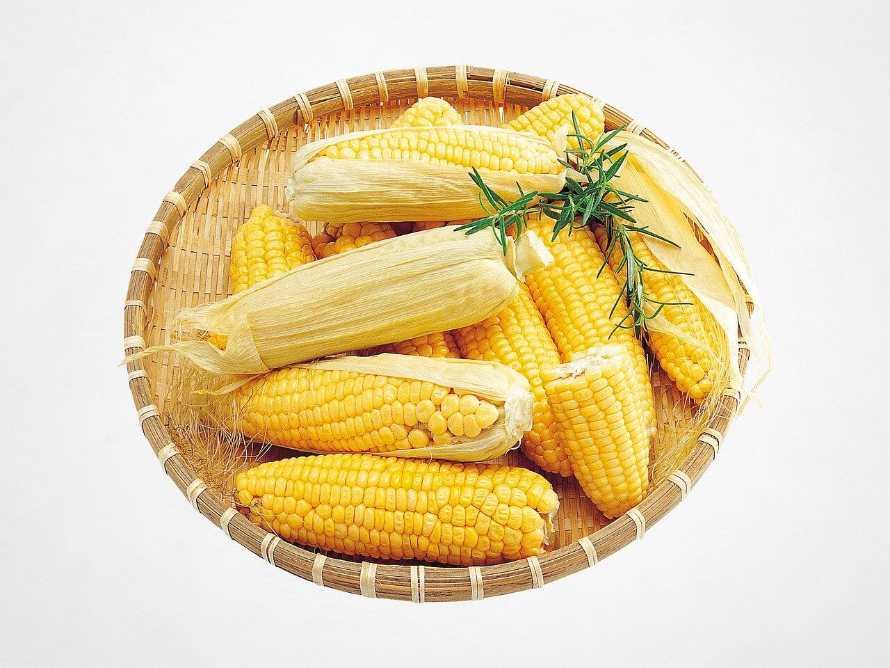 “7월-제철-음식-옥수수”