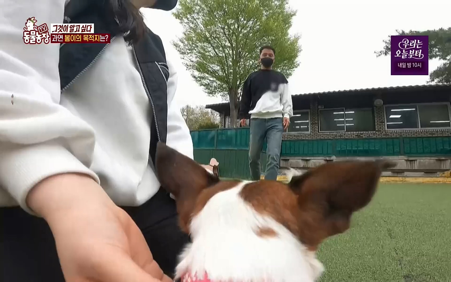 TV 동물농장.E1069.220515p.H264-F1RST.mp4_20220515_181235.635.jpg