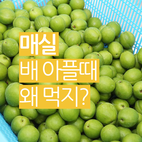  배 아플때 왜 매실을 먹나요? 매실의 효능