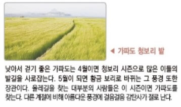 가파도 청보리 축제 기간 프로그램(+ 배 시간표 예매)