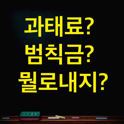  과태료 범칙금 차이 모르면 손해