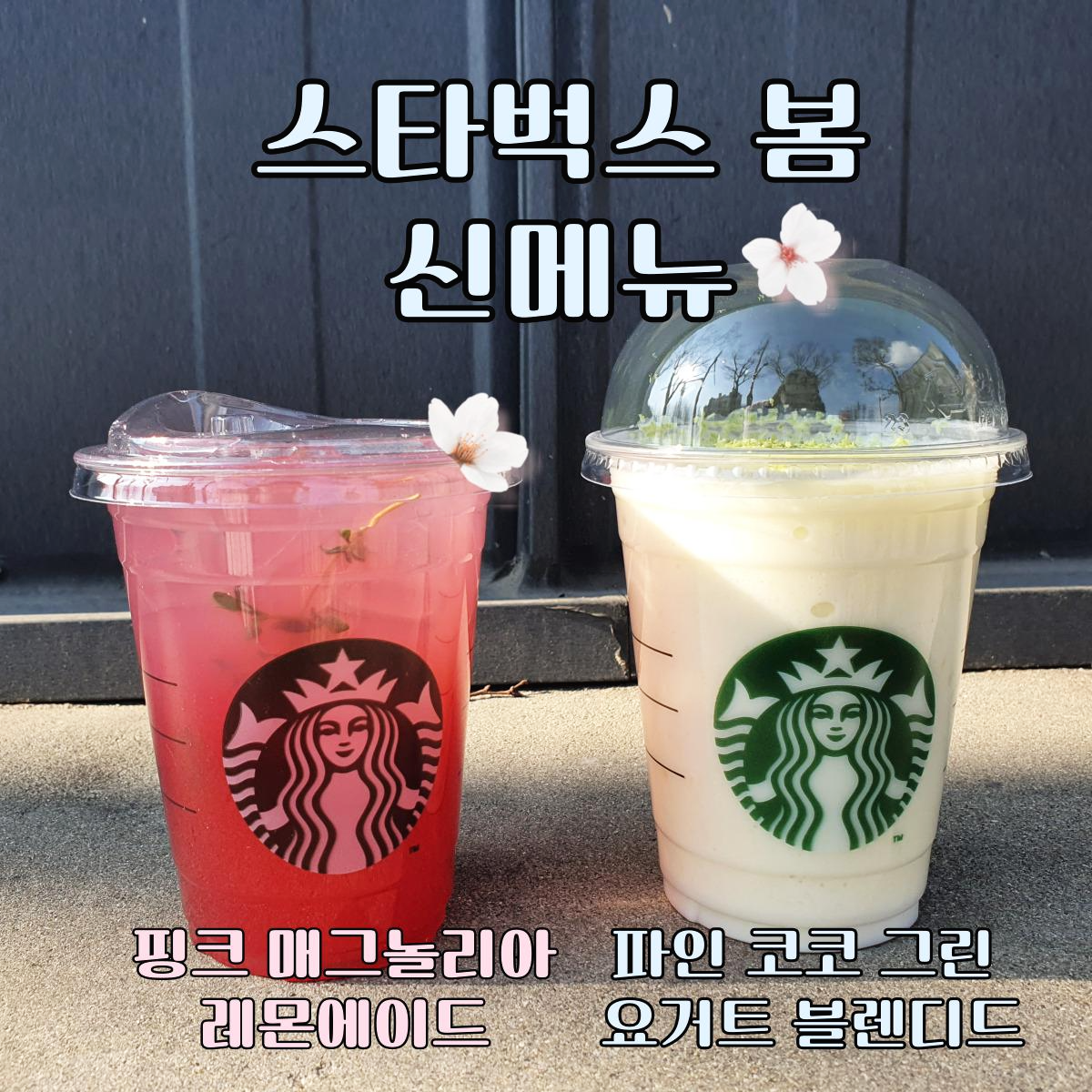  스타벅스 2022 봄 신메뉴  - 핑크 매그놀리아 레모네이드, 파인 코코 그린 요거트 블렌디드 후기