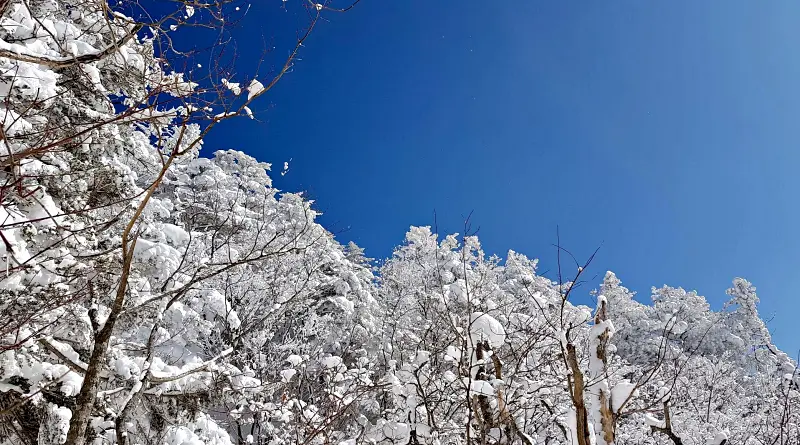 지리산 설경 상고대