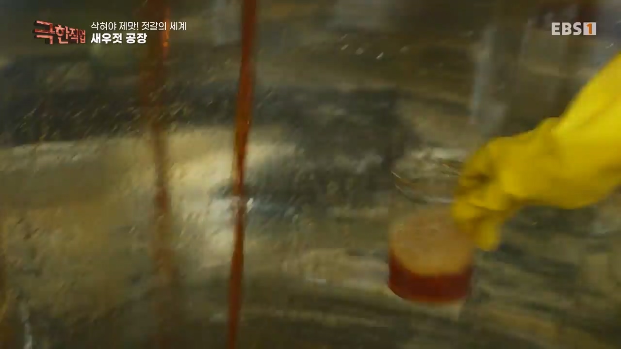 TV - 전 국민의 평생학교 EBS삭혀야 제맛! 젓갈의 세계.mp4_20231125_190845.602.jpg