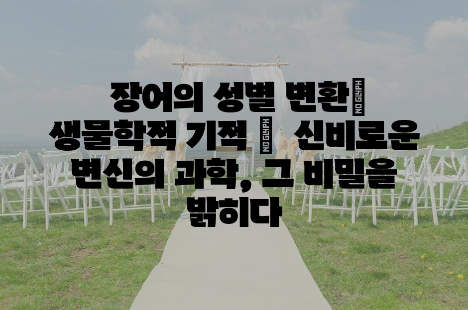 샘플 (69)
