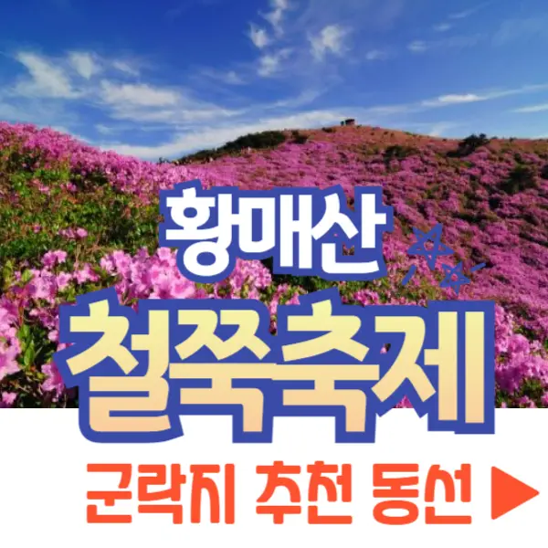 황매산 철쭉축제 군락지