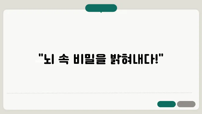 뇌혈관 조영술 검사 방법은 부작용 알아보기