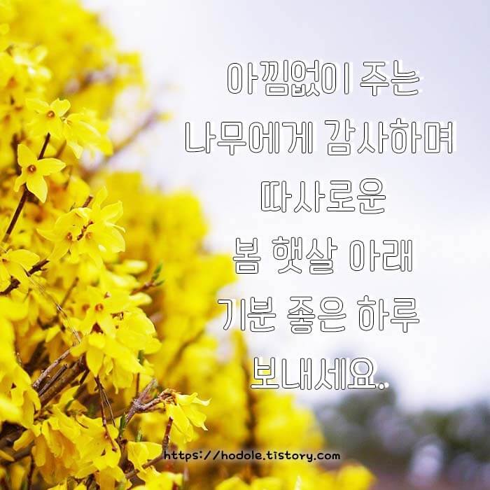 식목일 인사 이미지