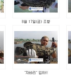 대왕광고 이미지