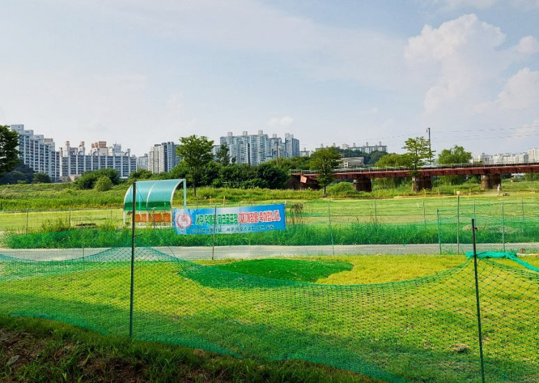 광주 덕흥파크골프장. 광주 서구 덕흥동 157