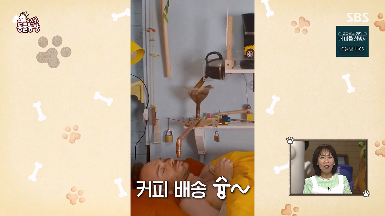 TV 동물농장.E1172.240520p-NEXT.mp4_20240519_162218.620.jpg