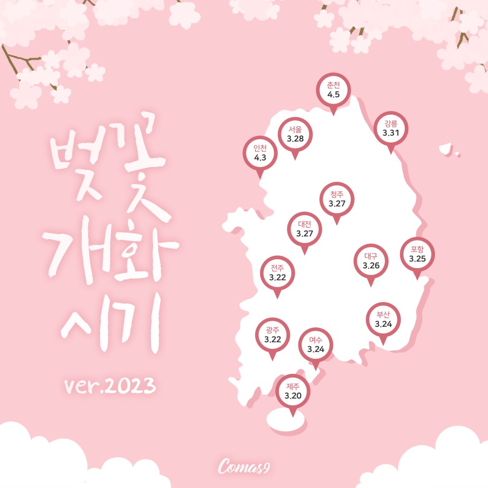 벚꽃축제 .개화시기.정보. 강추