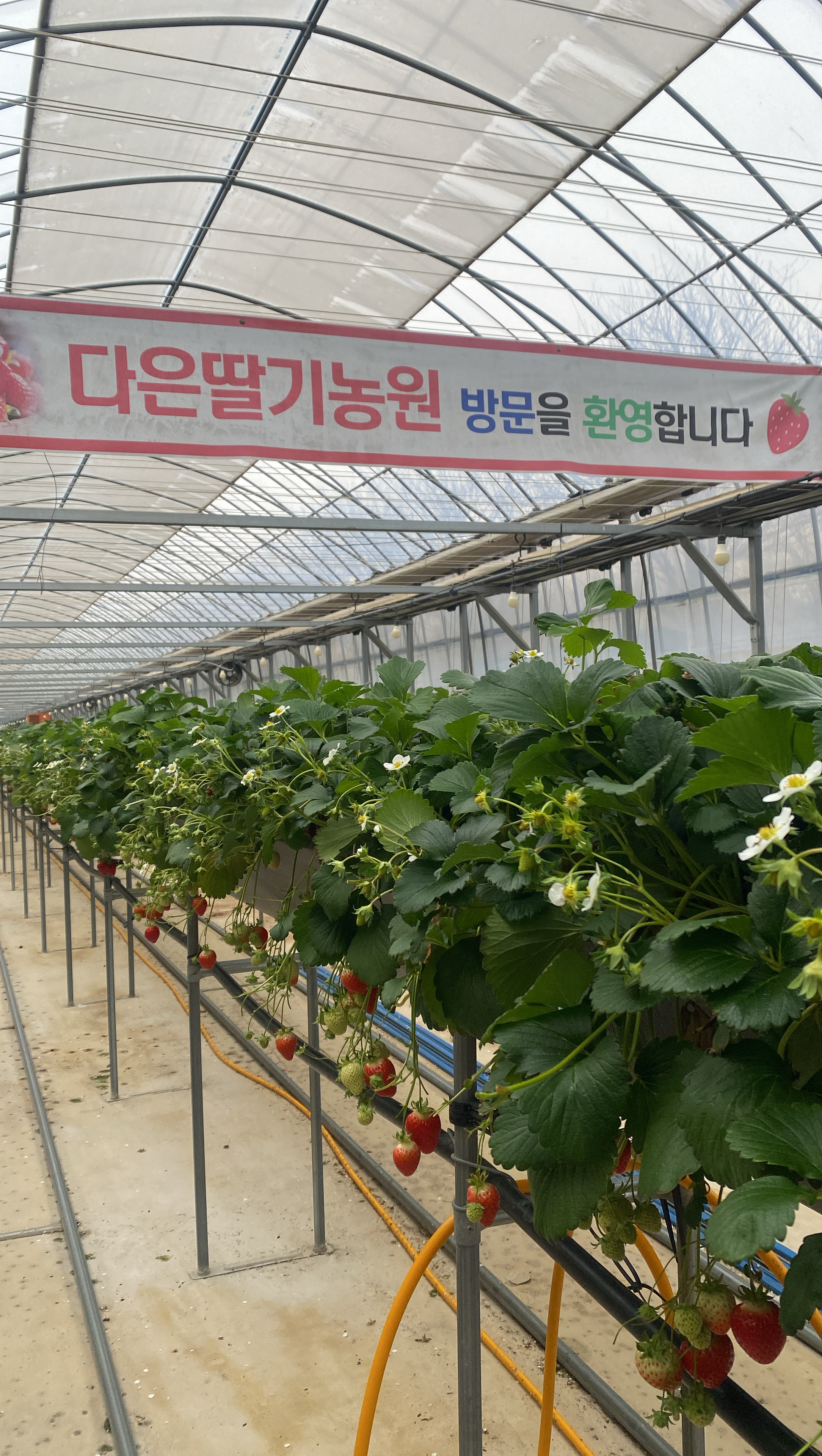다은농원 이미지